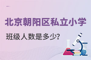 ����������˽��Сѧһ���༶��ѧ�������ж���?