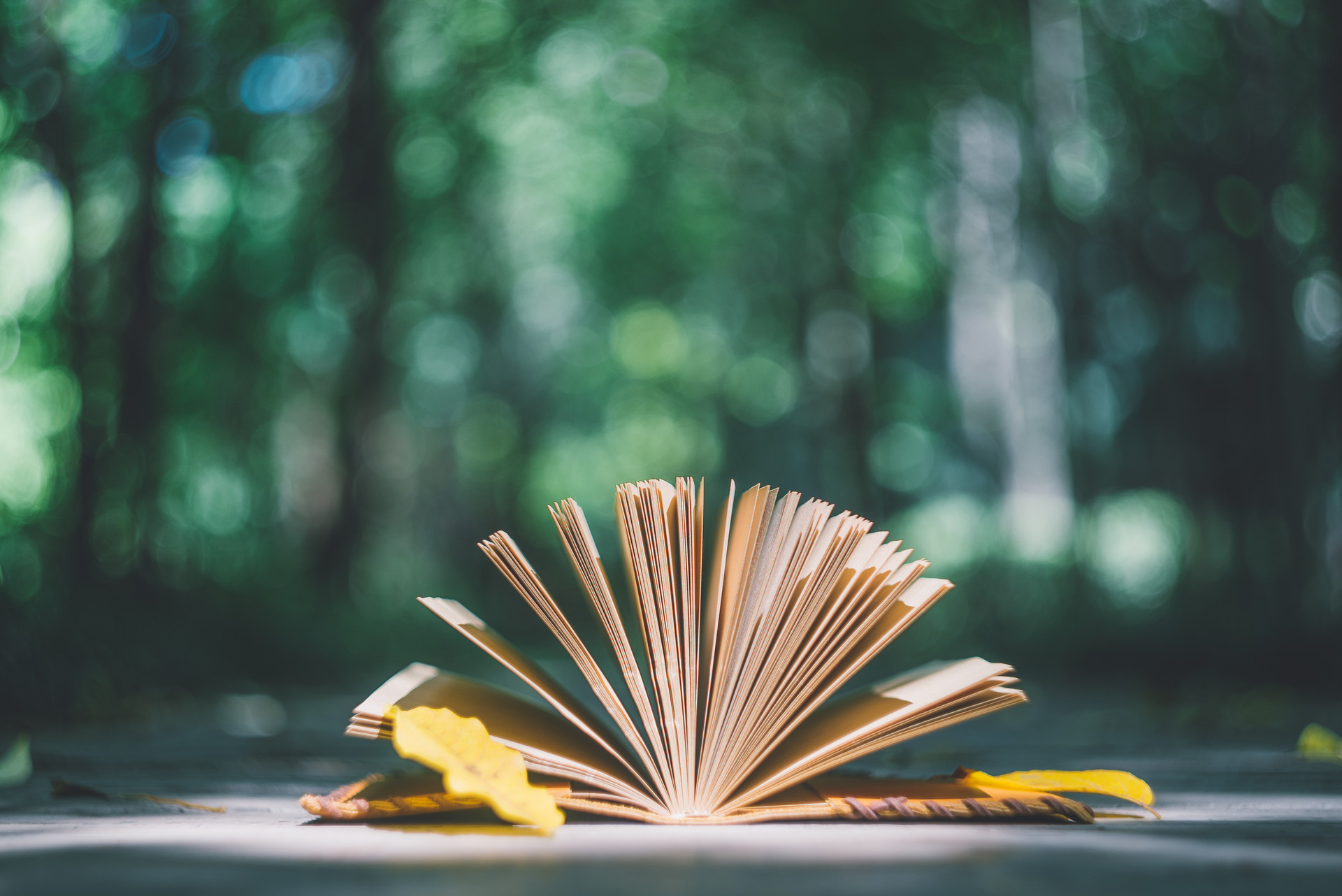 中职单招学什么专业靠谱呢?