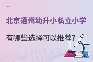 ����ͨ������С˽��Сѧ����Щѡ������Ƽ���