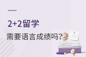 2+2ѧҪԳɼ?