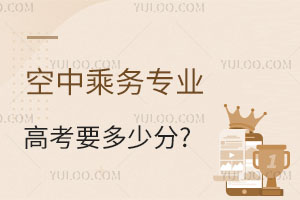 空中乘務專業(yè)高考要多少分?