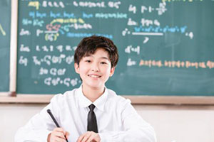 北京市通州区私立树人学校排名