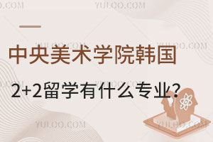 中央美术学院韩国2+2留学有什么专业？