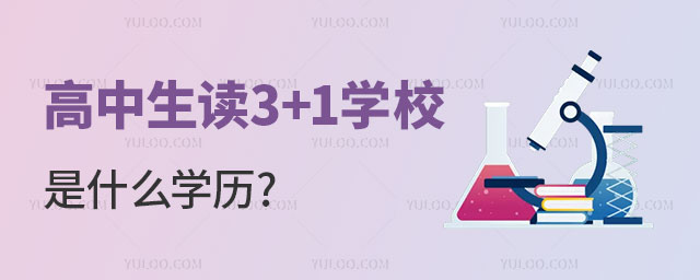 3+1ѧУʲôѧ