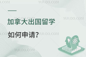 ôѧ룿