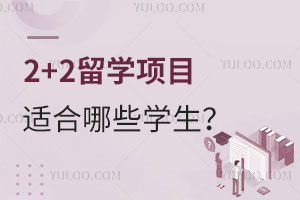 2+2ѧĿʺЩѧأ