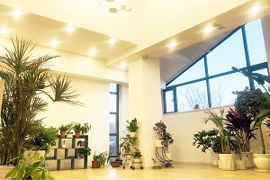 �����Ļ�ѧУ���ʸ�����������