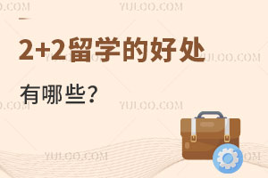 2+2ѧĺôЩ
