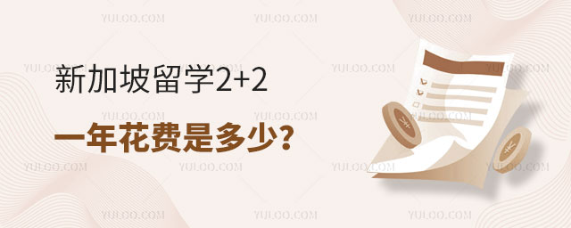 ¼ѧ2+2һ껨