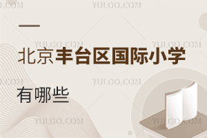 北京丰台区国际小学有哪些