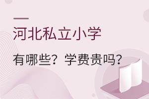 �ӱ�˽��Сѧ����Щ��ѧ�ѹ���