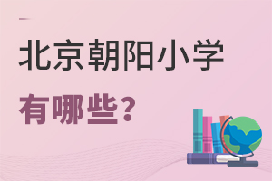 ����������˽��Сѧ����Щ����ѧ������ʲô��