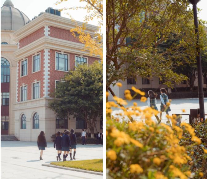 成都墨尔文学校校园