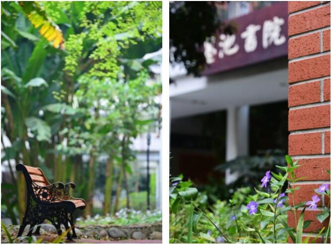 成都七中国际部校园风景.jpg