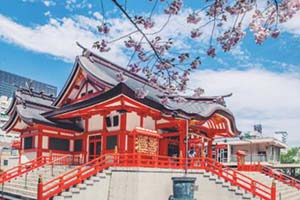 北京新府学外国语学校日本国际高中