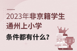 2023ǾѧͨСѧʲô