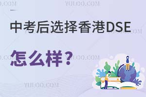 �п���ѡ�����DSE�γ���ô��?��������Щ�ȽϺõ�DSEѧУ?