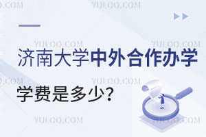 济南大学中外合作办学学费是多少？