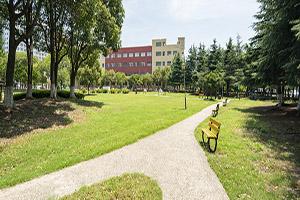 多少分能考上广东外语外贸大学公开学院？