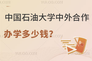 中国石油大学中外合作办学多少钱？