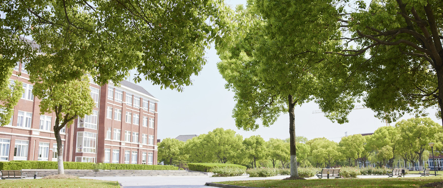 2023年投档线先出来还是先录取?