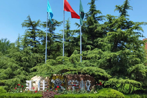 ������˽�����ѧУ