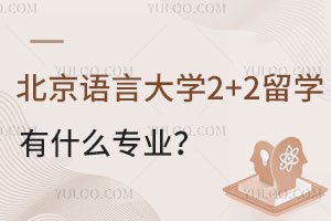 北京语言大学2+2留学有什么专业？