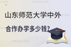 山东师范大学中外合作办学多少钱？