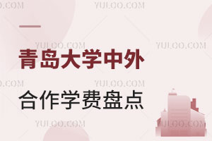 青岛大学中外合作学费盘点