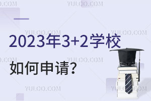 20233+2ѧУ룿
