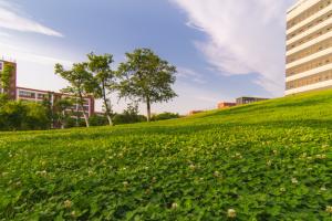 郑州科技学院航空学院的就业率一般都多少？