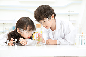 北京市通州区私立树人学校2024年招生信息汇总