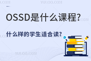 ���ô�OSSD�γ���ʲô�γ�?ʲô����ѧ���ʺ϶�?