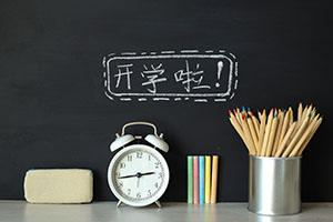 就读北京市私立汇佳学校初中参加中考吗？