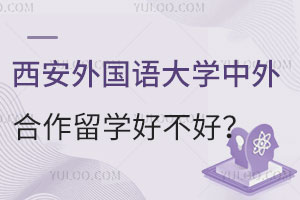 西安外国语大学中外合作办学留学好不好？