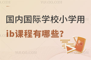 ���ڹ���ѧУСѧ��ib�γ�����Щ��