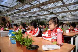 2024年小升初家庭须知!入读北京中加学校|通州华仁学校报名申请流程一览!