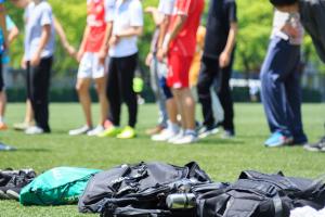 滨州学院乘务学院男女生比例是多少？