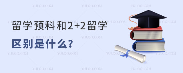 ѧԤƺ2+2ѧ