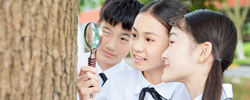 ����������ѧ��