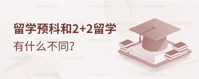 ѧԤƺ2+2ѧʲôͬ