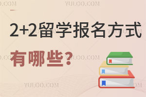 2+2ѧʽЩ