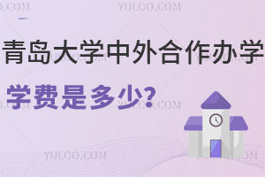 青岛大学中外合作办学学费是多少？