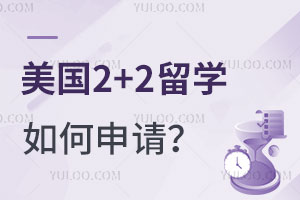 2+2ѧ룿