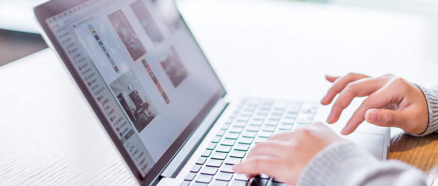 2024����������ʮ��רҵ