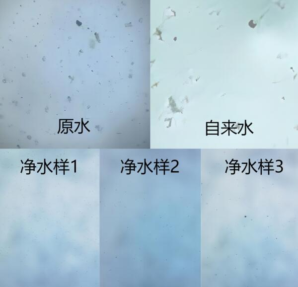 мѧУSTEMγ̣ˮĿѧ֮