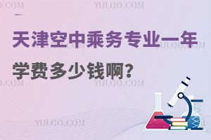 天津空中乘務專業一年學費多少錢啊?