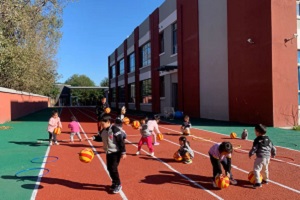 �����г�������������ѧУ�ճ������˶���ô����?