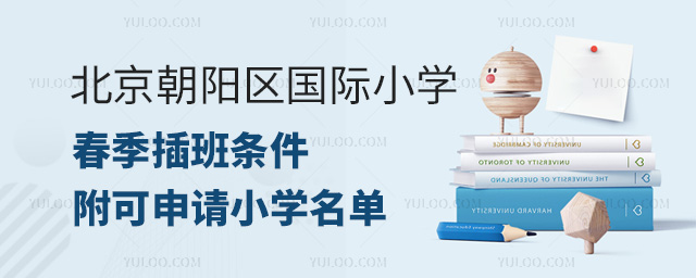 2024年北京朝阳区国际小学春季插班条件
