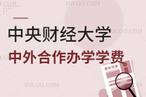 中央财经大学中外合作办学学费汇总
